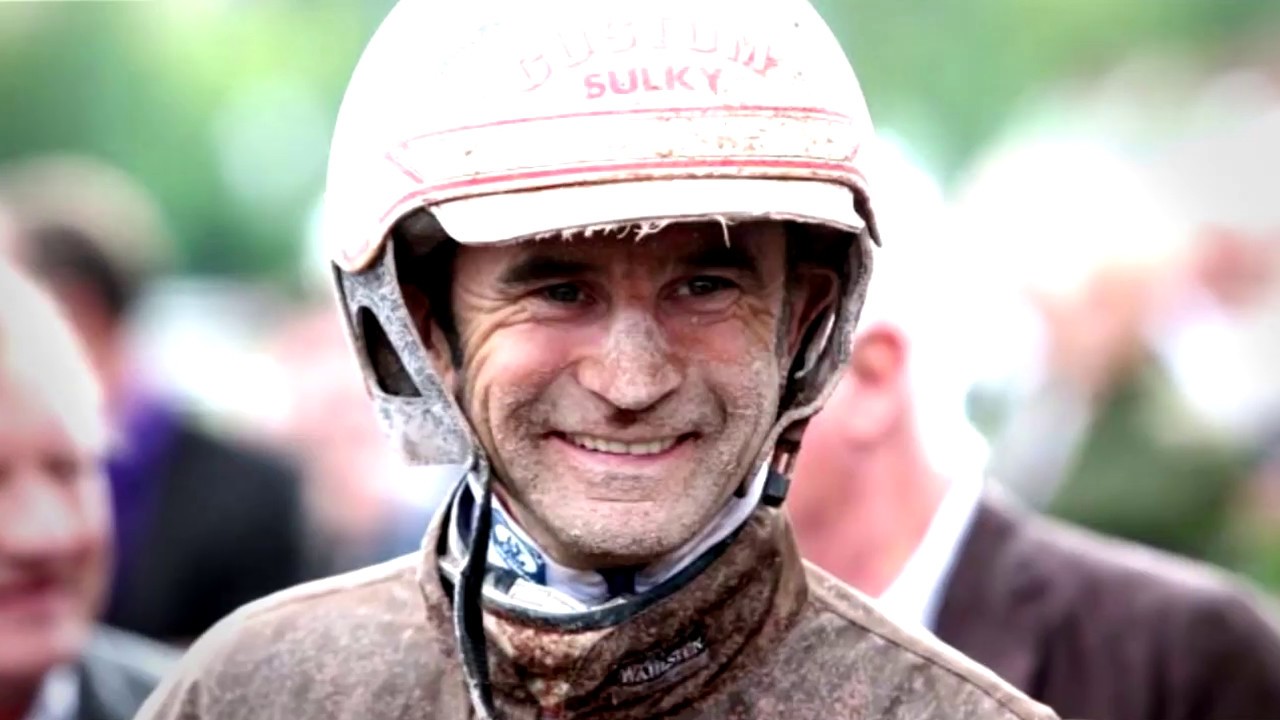 Top 5 Des Entra neurs De Chevaux YouTube