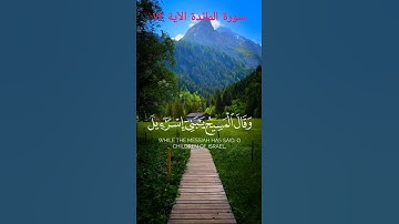 استمع الان لتلاوة خاشعة من القرآن الكريم نور لقلبك و راحة لروحك