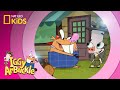 Iggy Arbuckle and the Kook Adventures
