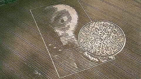 Crabwood Alien Crop Circle - Inside Out 2002
