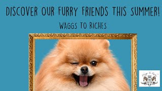 Discover Our Furry Friends This Summer