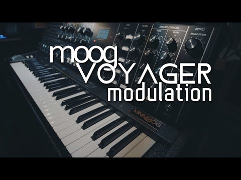 moog voyager wallpaper