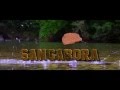 Sangabora 2016 Bengali Film Official Trailer HD YouTube 720p