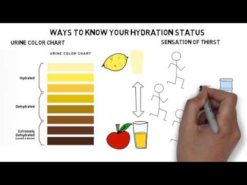 Urine Hydration Chart Pdf