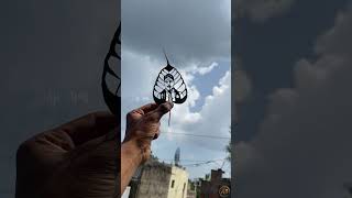 Gp Muthu Leaf Art Aji Arts