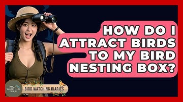 How Do I Attract Birds To My Bird Nesting Box? - Bird Watching Diaries
