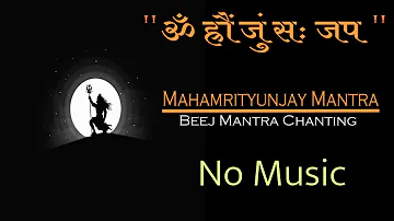 Om Hrom Jum Sah  Chanting | महामृत्युंजय बीज मंत्र साधना | ॐ ह्रौं जुं सः जप | No Music