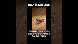 #곤충 #shorts #자연생물 #곤충키우기 #상식 #반려동물 #이야기 #진드기 #건강