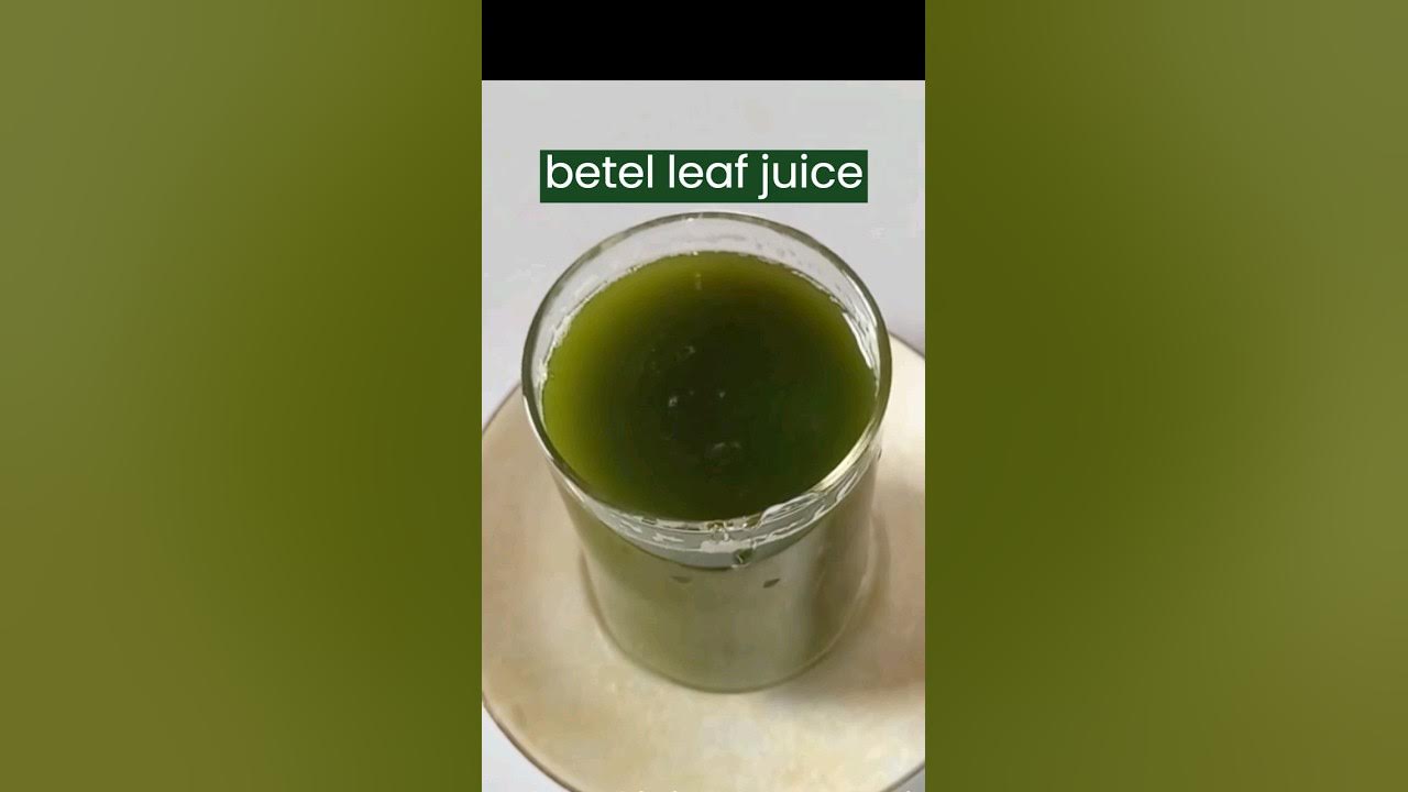 betel leaf juice🥤healthydrink shorts YouTube