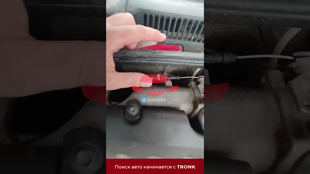 Где вин у Volkswagen Bora первого поколения? 