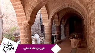 حلوة يا دنيا - تقرير عن يافا - فلسطين