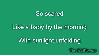 The Wallflowers - Birdcage (Lyrics)