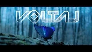 VOLTAJ - Esecul va da gres ( 𝗛𝗮𝗶 𝗛𝘂𝗶 𝗜𝗻 𝗧𝗶𝗺𝗽 𝗢𝗦𝗧 ) 🦋 Lyric Video