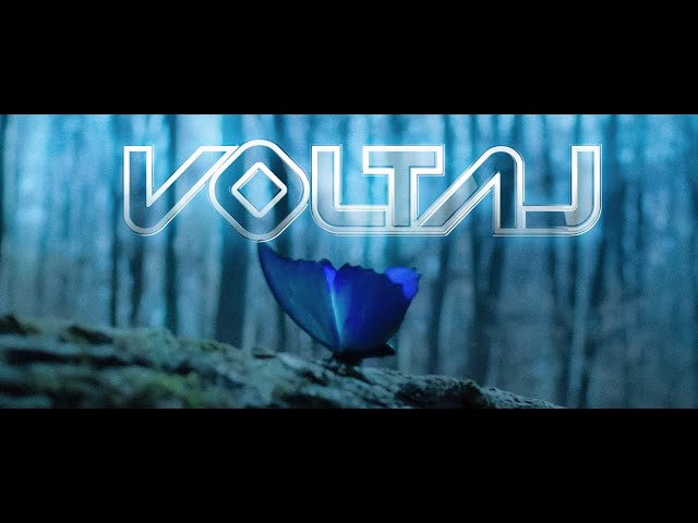 VOLTAJ - Esecul va da gres ( 𝗛𝗮𝗶 𝗛𝘂𝗶 𝗜𝗻 𝗧𝗶𝗺𝗽 𝗢𝗦𝗧 ) 🦋 Lyric Video