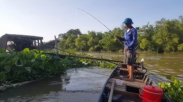 An phú quê tôi 09. Bắt đầu mùa câu tôm càng 🙄🙄🙄