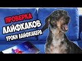 ПРОВЕРКА Лайфхаков с канала Уроки Лайфхакера