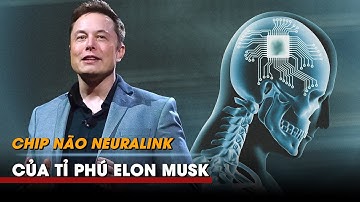 Chip não Neuralink của tỉ phú Musk khi nào mới được thử nghiệm trên người?