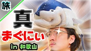 【家族旅】ついにまぐにぃが進化した？ in 和歌山：撮影GH5