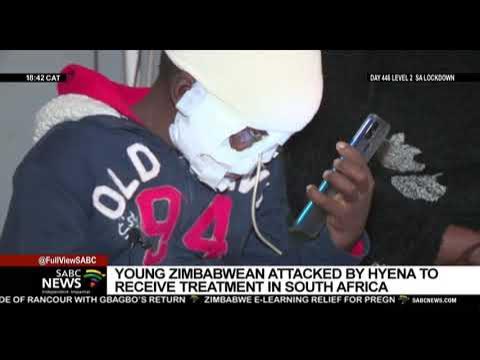 Rabies kill three in Zvimba - New Ziana