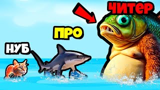 видео: НОВАЯ ЭВОЛЮЦИЯ ТРИПИ ТРОПИ И  ТРАЛАЛЕЛО ТРАЛАЛА, БРЕЙНРОТ МЕМЫ 2 картинка: НОВАЯ ЭВОЛЮЦИЯ ТРИПИ ТРОПИ И  ТРАЛАЛЕЛО ТРАЛАЛА, БРЕЙНРОТ МЕМЫ 2