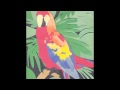 Miniature de la vidéo de la chanson Parrot Flies