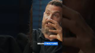 The Importance of Cognitive Challenges  #cognitivechallenges