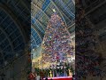 札幌市民熱愛!「サッポロファクトリーのジャンボクリスマスツリー」冬デートの定番!