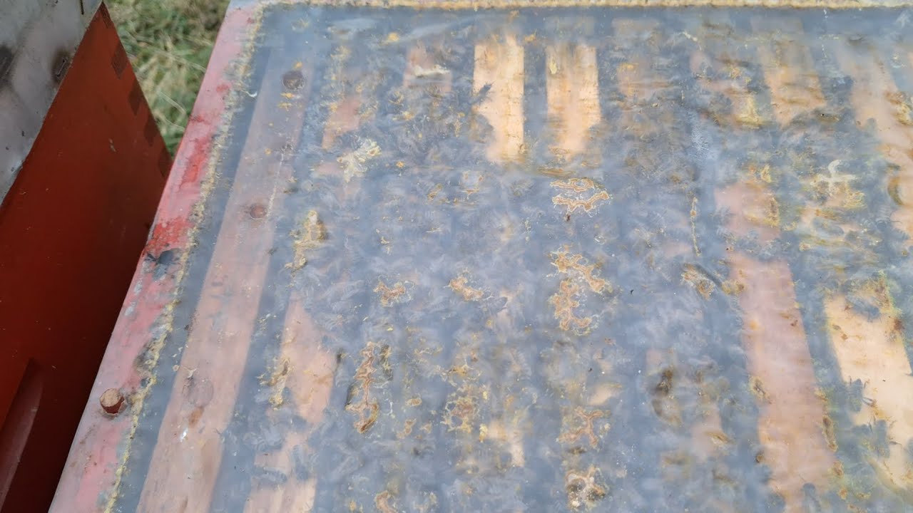 Prvi vizuelni pregled pčelinjih zajednica-sve preživjele 2026 god.