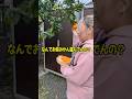 妹がみかん泥棒をしてたからブチギレた#shorts