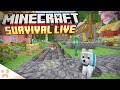 BASE BUILDING, FARM FINISHING, AND DIGGING A MEGA NETHER TUNNEL!