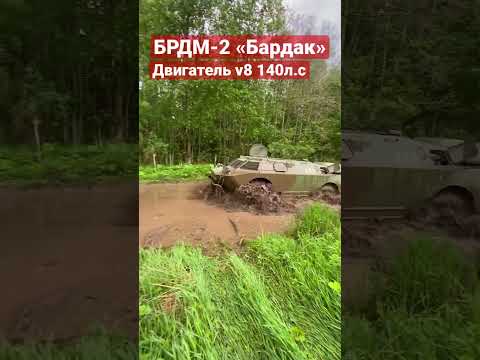 Бардак в грязи!