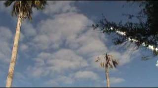 Sts-129 Launch View From The Space View Park,Usville,Fl