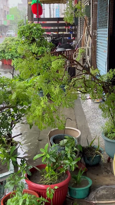 pov : chiayi hari ini 🫩 bentar lagi banjirrr #taiwan #chiayi #jowopride