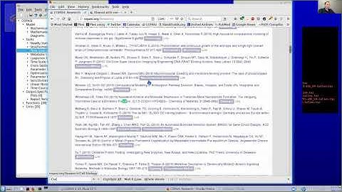 2020 CCB - COPASI Tutorial with Dr. Pedro Mendes