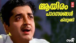 Aayiram Padasarangal | Nadhi(1969) | G Devarajan | K.J Yesudas | Prem Nazeer | Old is Gold
