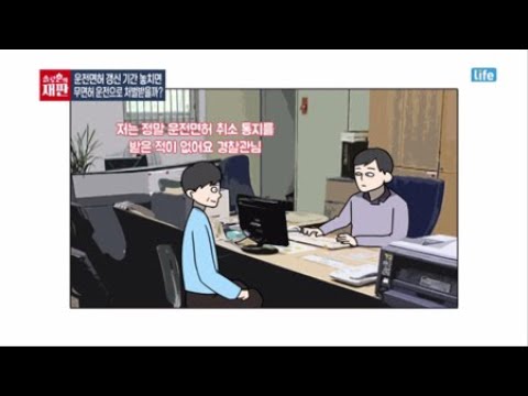 솔로몬의 재판 운전면허 갱신 기간 놓치면 무면허 운전으로 처벌 받을까 YTN 라이프 