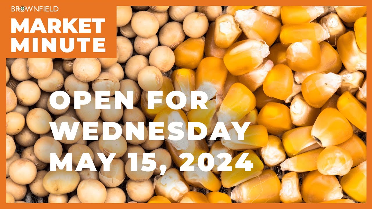 Soybeans and corn started the day higher | Opening Market Minute - YouTube