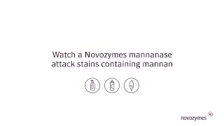See a mannan stain disappear with Novozymes mannanase