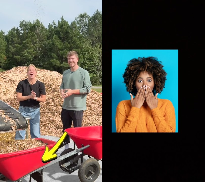 1 subscriber = 1penny 😲😲 #mrbeast #mrbeastchallenges #funny #hilariousfails #funnyvideos