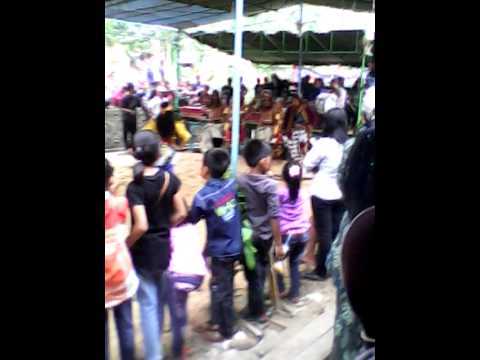 Soreng gunung tugel secang magelang