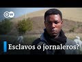 ¿Esclavitud en Italia? | DW Documental