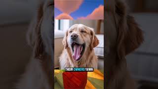 Why Yawning Is Contagious — Even Reading This Might Make You Yawn #mindlayer #shorts #viralshorts