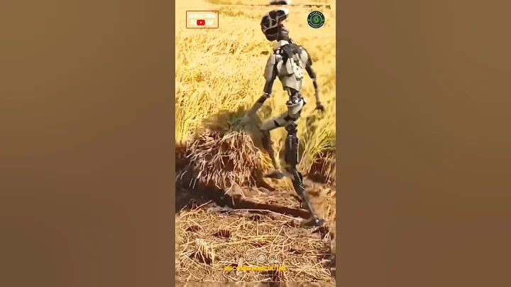 The Future of Agriculture: Meet the Rice Harvesting Robot 🌾🤖  #farming #robot #harvest