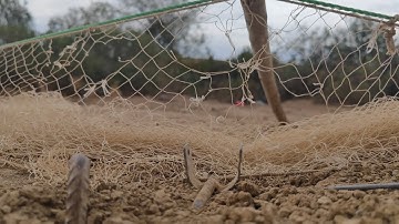 Installation of the strongest bird catching net trap (100% guaranteed) - A professional method