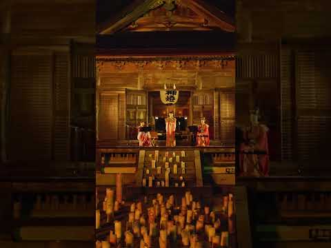 令和7年10月27日晴 折口信夫「死者の書」#天然記念物 #折口信夫 #気多大社 #縁結び #国指定重要文化財 #入らずの森 #万葉集 #大伴家持 #キャンドルナイト #死者の書 #ハイパーラプス