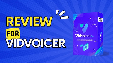 Vidvoicer Review