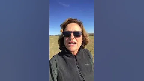WiRE w/ Debbie Holloway: My Birthday Wish