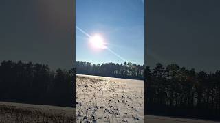 Trakai Castle Reveal on Frozen Lake ❄️ ASMR Slow Pan from Sun &amp; Reeds  #asmr #frozenlake #relax