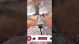 Hedonistic – tubebackr #MusicForCreators#BackgroundMusic#TikTokMusic#musicforcontent