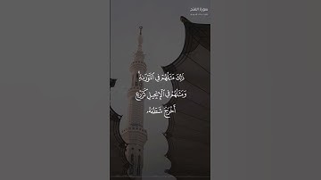 ﴿ محمد رسول الله ﴾ #تلاوة رائعة من #سورة_الفتح للشيخ #عبدالله_الموسى #قرآن_كريم